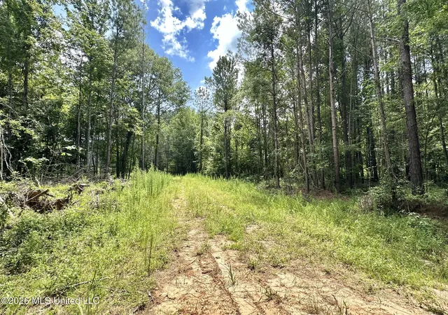 Homes for sale in Carthage, MS | 1 Hwy 35, Carthage, MS 39051 | MLS# 4154629