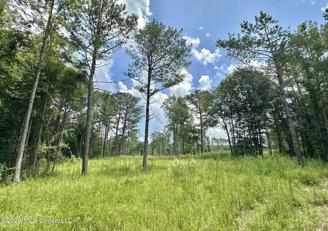 Homes for sale in Carthage, MS | 1 Hwy 35, Carthage, MS 39051 | MLS# 4154629