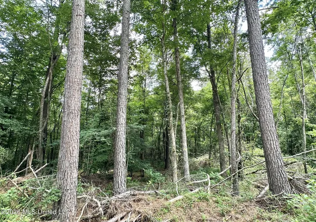 Photo 4 of Land for sale at 1 Highway 35, Carthage, MS 39051 | MLS# 4154629 | Listing updated on 2026-08-21