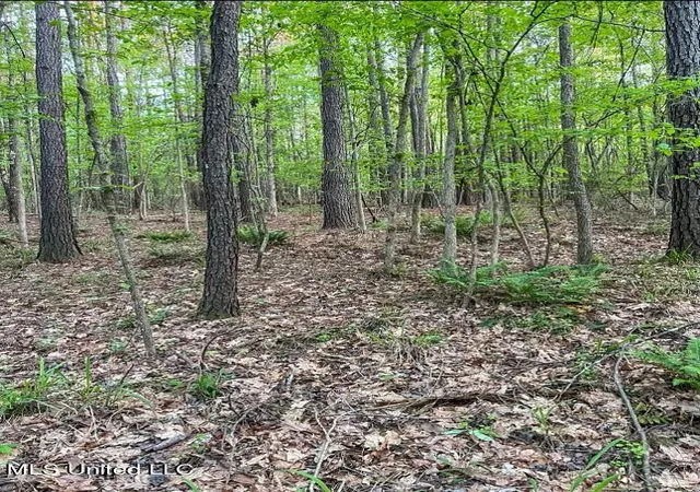 5th image of 00 Ashley Rd, Brandon, MS 39042 | MLS# 4154637