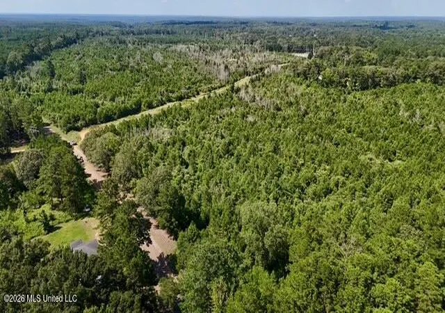 Homes for sale in Gloster, MS | 00 Stump Rd, Gloster, MS 39638 | MLS# 4154659