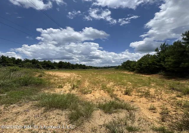 Homes for sale in Gloster, MS | 00 Stump Rd, Gloster, MS 39638 | MLS# 4154659