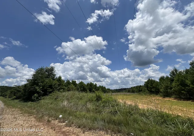 Homes for sale in Gloster, MS | 00 Stump Rd, Gloster, MS 39638 | MLS# 4154659