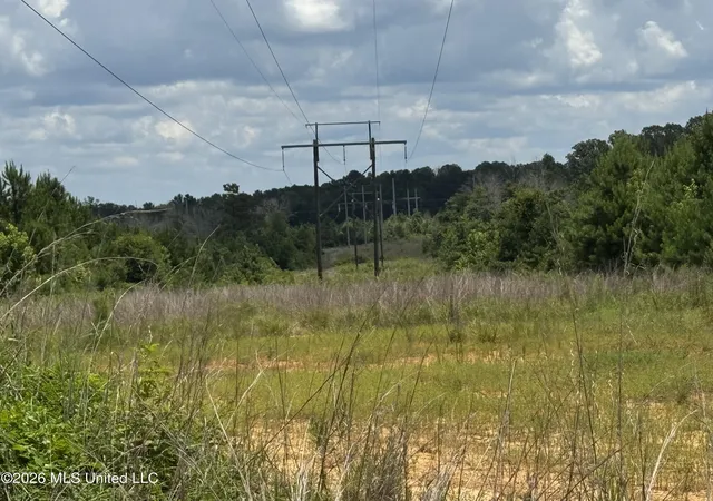 Homes for sale in Gloster, MS | 00 Stump Rd, Gloster, MS 39638 | MLS# 4154659