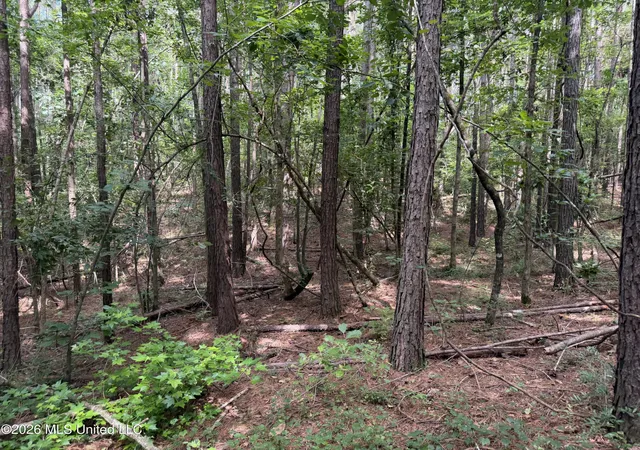 Homes for sale in Brookhaven, MS | Nw Union Rd, Brookhaven, MS 39601 | MLS# 4154667