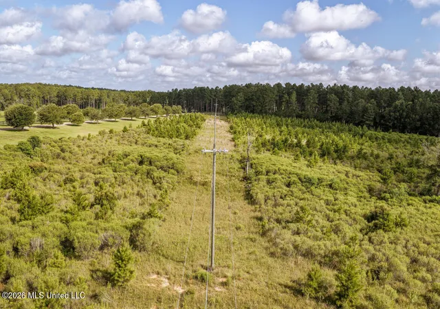 4th image of Tbd Walden Wy, Hattiesburg, MS 39402 | MLS# 4154680