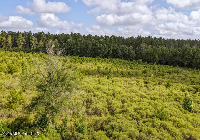 5th image of Tbd Walden Wy, Hattiesburg, MS 39402 | MLS# 4154680