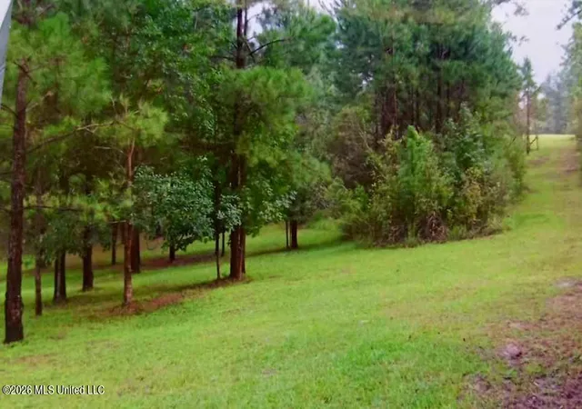 Homes for sale in Brooklyn, MS | 202 Saint John Rd, Brooklyn, MS 39425 | MLS# 4154732