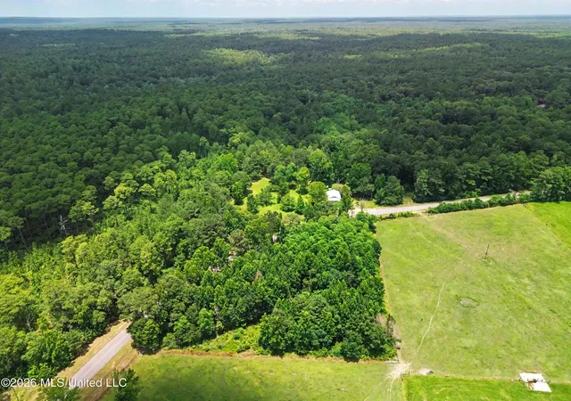 Homes for sale in Brooklyn, MS | 202 Saint John Rd, Brooklyn, MS 39425 | MLS# 4154732