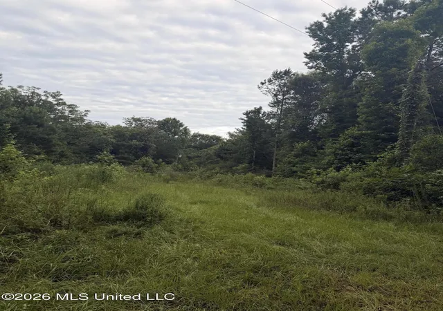 Homes for sale in Mc Comb, MS | 0000 Candy Ln, Mc Comb, MS 39648 | MLS# 4154688