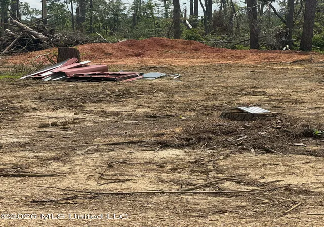 Homes for sale in Bogue Chitto, MS | 175 Stonybrook Trl, Bogue Chitto, MS 39629 | MLS# 4154795