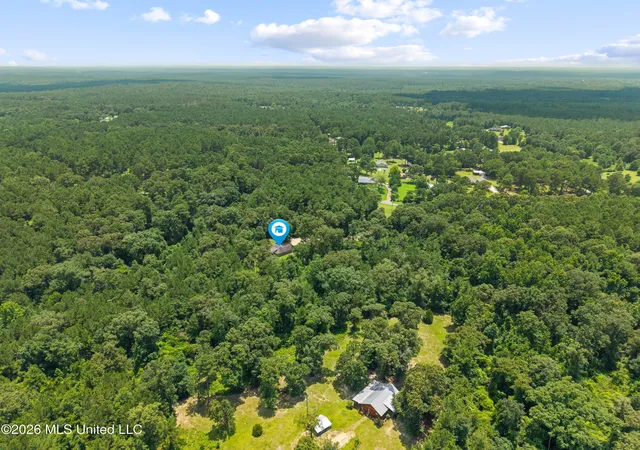 Homes for sale in Seminary, MS | 57 Napier Rd, Seminary, MS 39479 | MLS# 4154702