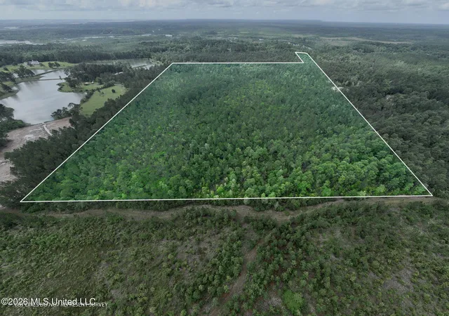 1st image of 68 Acres Blue Wood Dr, Perkinston, MS 39573 | MLS# 4156423