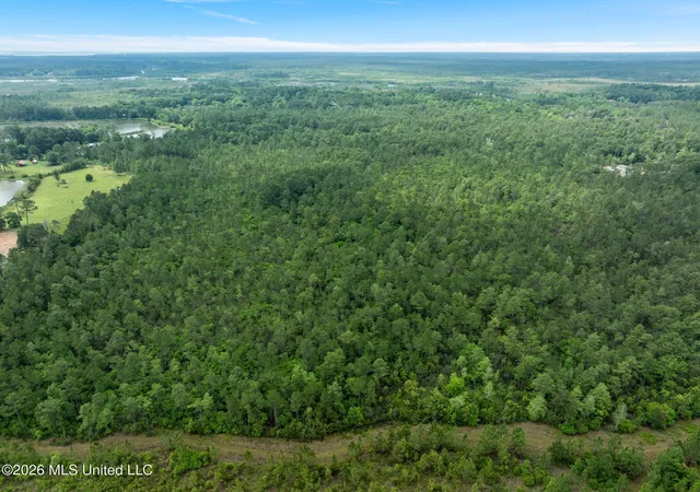 23rd image of 68 Acres Blue Wood Dr, Perkinston, MS 39573 | MLS# 4156423