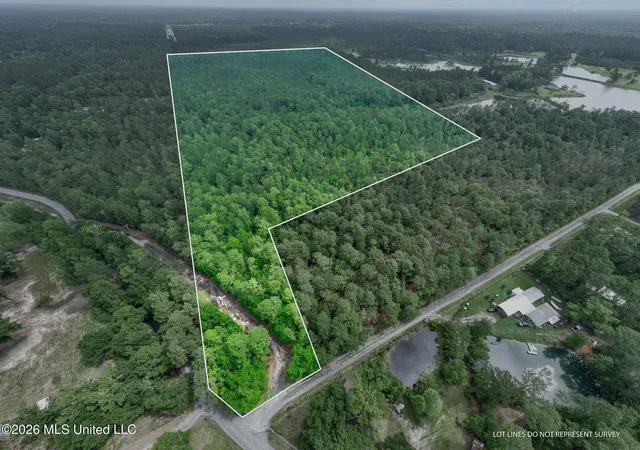 2nd image of 68 Acres Blue Wood Dr, Perkinston, MS 39573 | MLS# 4156423