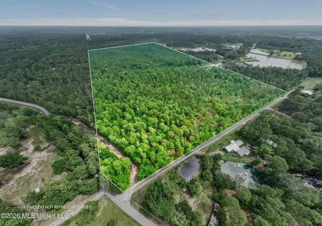 Photo 3 of Land for sale at 68 Acres Blue Wood Dr, Perkinston, MS 39573 | MLS# 4156423 | Listing updated on 2026-07-20