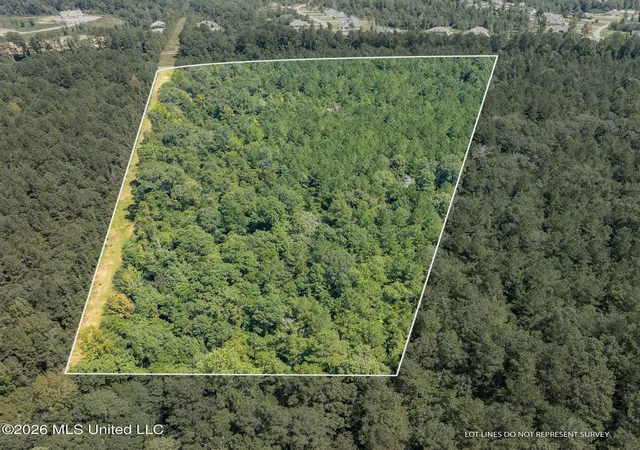 Photo 2 of Land for sale at 20 Acres Hwy 589, Sumrall, MS 39482 | MLS# 4157350 | Listing updated on 2026-07-28
