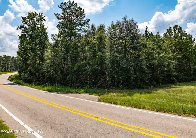 Photo 3 of Land for sale at 20 Acres Hwy 589, Sumrall, MS 39482 | MLS# 4157350 | Listing updated on 2026-07-28