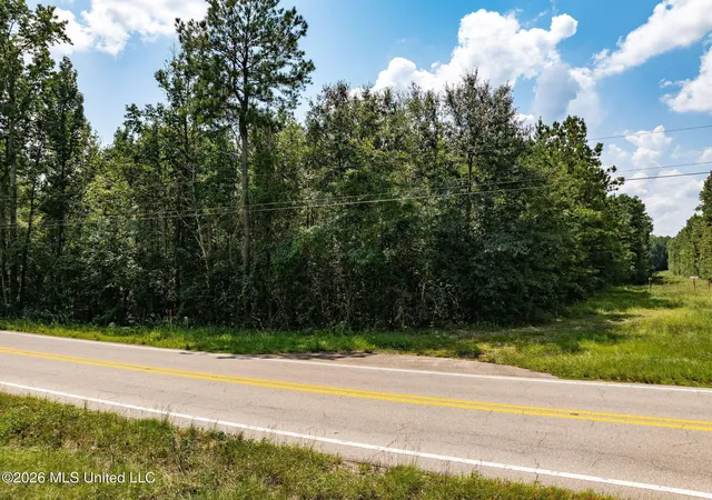 Photo 3 of Land for sale at 20 Acres Hwy 589, Sumrall, MS 39482 | MLS# 4157350 | Listing updated on 2026-07-28
