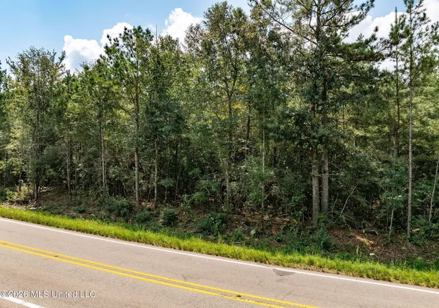 Photo 4 of Land for sale at 20 Acres Hwy 589, Sumrall, MS 39482 | MLS# 4157350 | Listing updated on 2026-07-28