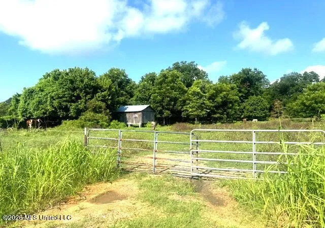 2nd image of 8274 Louisiana 566, Clayton, LA 71326 | MLS# 4154772