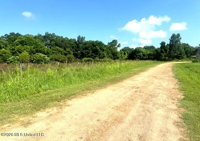 4th image of 8274 Louisiana 566, Clayton, LA 71326 | MLS# 4154772