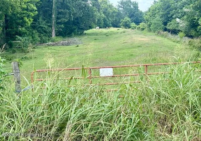Photo 4 of Land for sale at 8274 Louisiana 566, Clayton, LA 71326 | MLS# 4154772 | Listing updated on 2026-09-22
