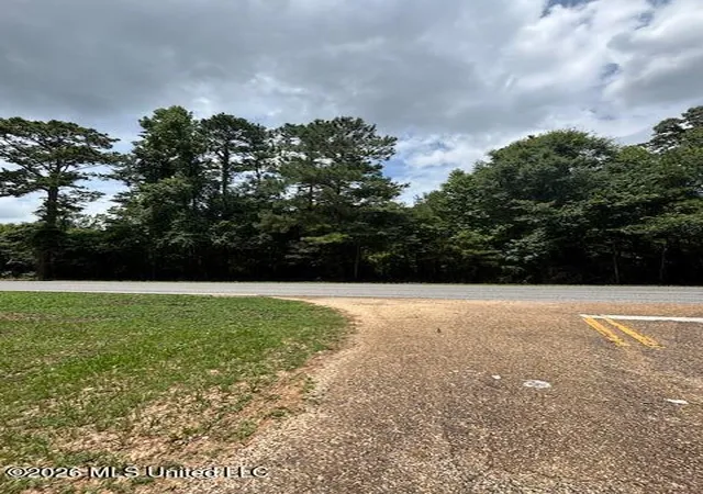 Homes for sale in Tylertown, MS | 193 W Ms 48, Tylertown, MS 39667 | MLS# 4154840