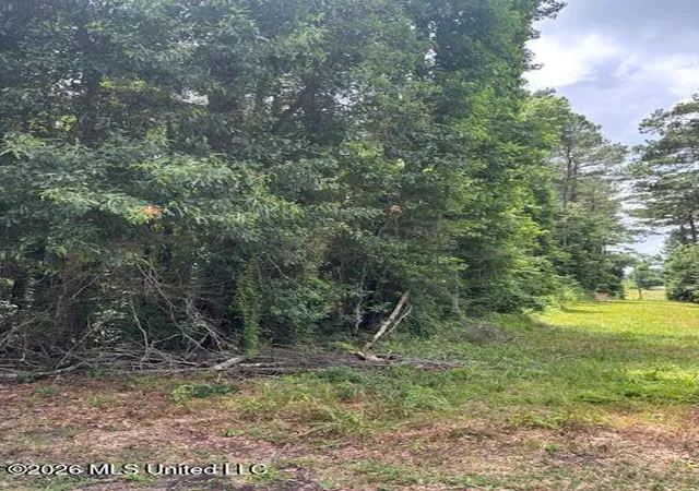 Homes for sale in Tylertown, MS | 193 W Ms 48, Tylertown, MS 39667 | MLS# 4154840
