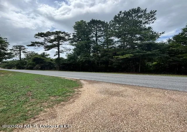 Homes for sale in Tylertown, MS | 193 W Ms 48, Tylertown, MS 39667 | MLS# 4154840