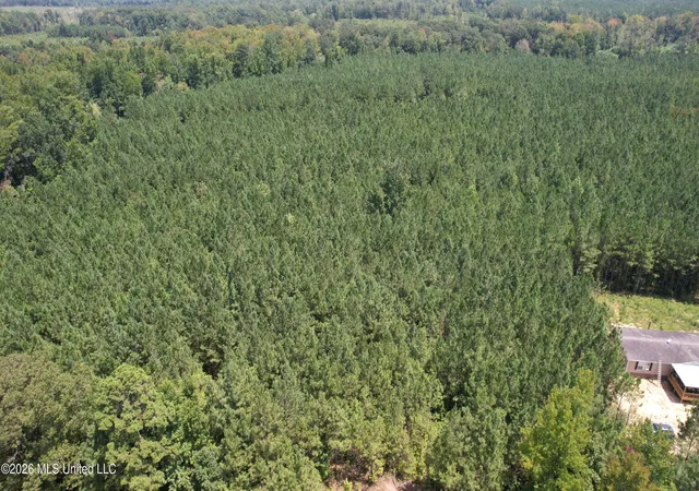 Photo 2 of Land for sale at County Rd 2127, Mc Cool, MS 39108 | MLS# 4154780 | Listing updated on 2026-08-19