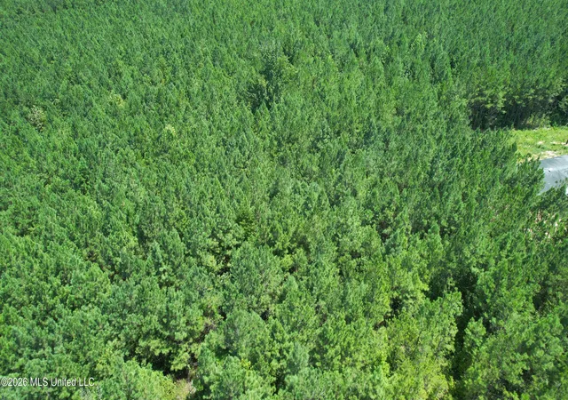 Photo 3 of Land for sale at County Rd 2127, Mc Cool, MS 39108 | MLS# 4154780 | Listing updated on 2026-08-19