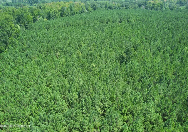 Photo 3 of Land for sale at County Rd 2127, Mc Cool, MS 39108 | MLS# 4154780 | Listing updated on 2026-08-19
