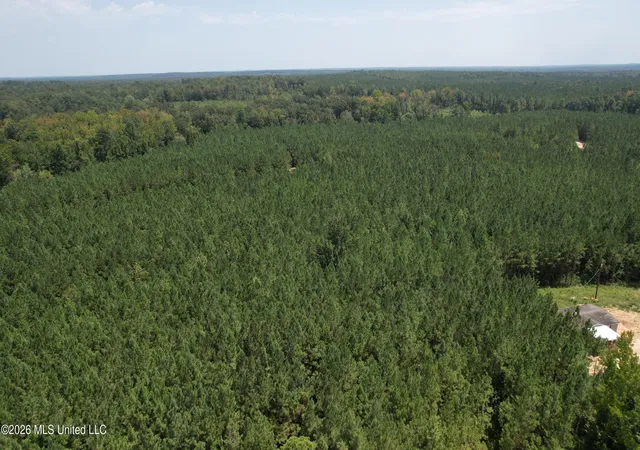 Photo 4 of Land for sale at County Rd 2127, Mc Cool, MS 39108 | MLS# 4154780 | Listing updated on 2026-08-19