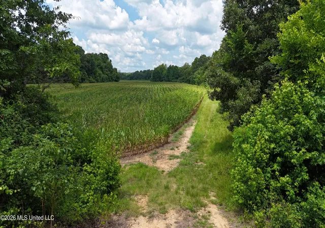 Homes for sale in Coldwater, MS | Barr Rd, Coldwater, MS 38618 | MLS# 4154929