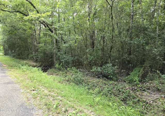 3rd image of 0 Redwood Dr, Picayune, MS 39466 | MLS# 4155352