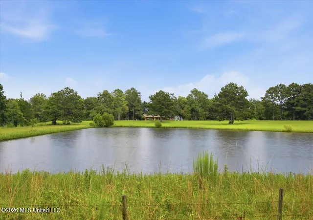 Homes for sale in Canton, MS | 198 Morgan Rd, Canton, MS 39046 | MLS# 4154867