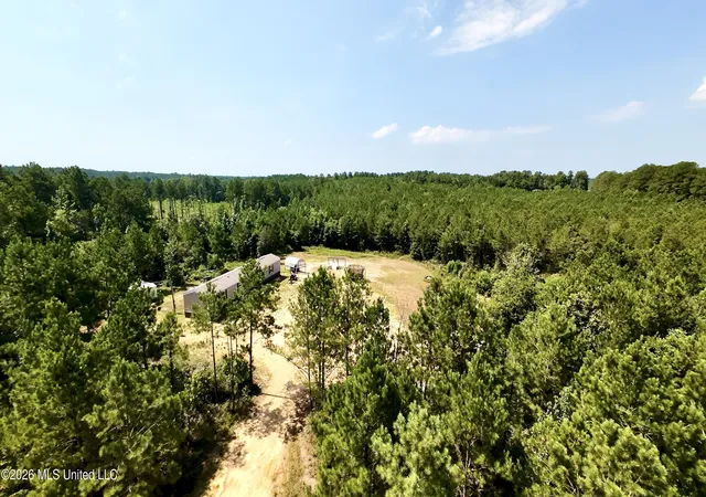 Homes for sale in Mendenhall, MS | 115 Calhoun Rd, Mendenhall, MS 39114 | MLS# 4154794