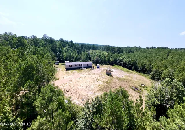 Homes for sale in Mendenhall, MS | 115 Calhoun Rd, Mendenhall, MS 39114 | MLS# 4154794