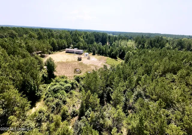 Homes for sale in Mendenhall, MS | 115 Calhoun Rd, Mendenhall, MS 39114 | MLS# 4154794