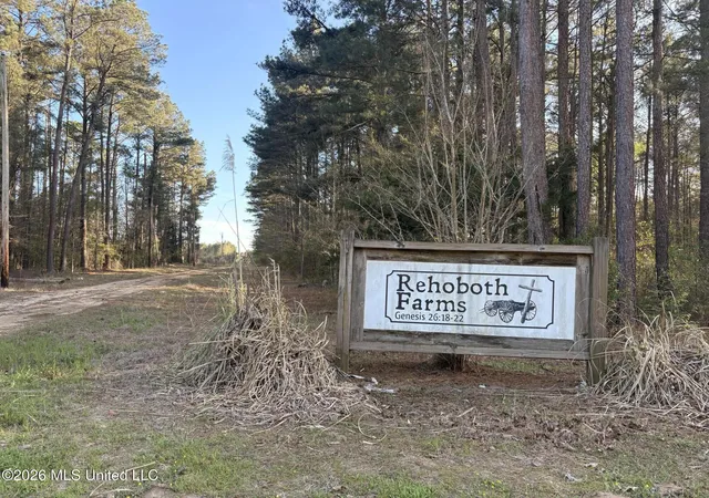 Homes for sale in Pelahatchie, MS | 337 J C Prestage Rd, Pelahatchie, MS 39145 | MLS# 4154860
