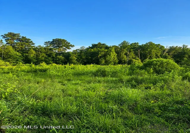 Homes for sale in Raleigh, MS | S C Road 77, Raleigh, MS 39153 | MLS# 4154834