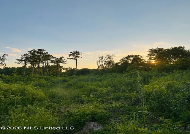 Homes for sale in Raleigh, MS | S C Road 77, Raleigh, MS 39153 | MLS# 4154834