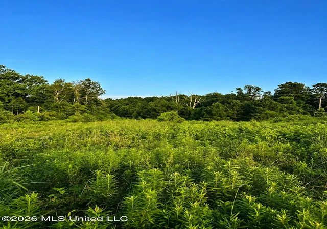 Homes for sale in Raleigh, MS | S C Road 77, Raleigh, MS 39153 | MLS# 4154834