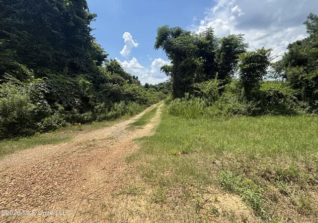 Homes for sale in Camden, MS | Firetower Rd, Camden, MS 39045 | MLS# 4154846