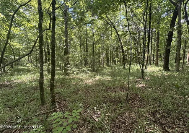 Homes for sale in Camden, MS | Firetower Rd, Camden, MS 39045 | MLS# 4154846