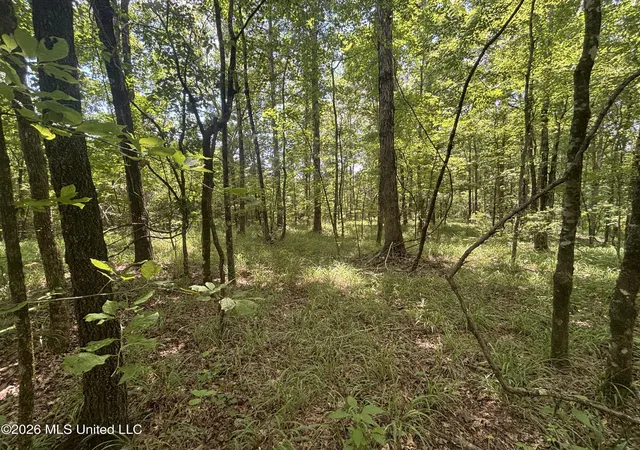 Homes for sale in Camden, MS | Firetower Rd, Camden, MS 39045 | MLS# 4154846