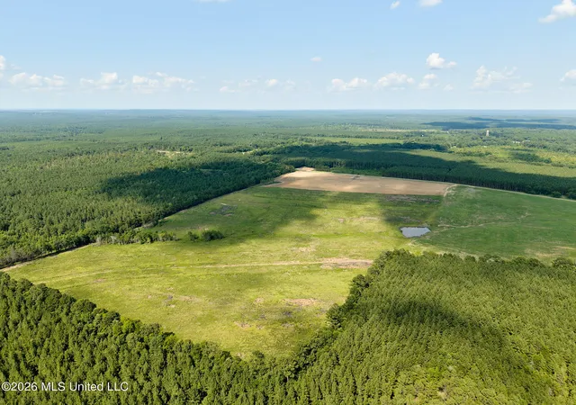 Homes for sale in Louin, MS | 79 County Road 2349, Louin, MS 39338 | MLS# 4155452