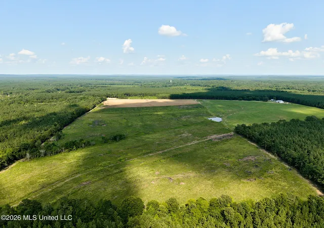 Homes for sale in Louin, MS | 79 County Road 2349, Louin, MS 39338 | MLS# 4155452