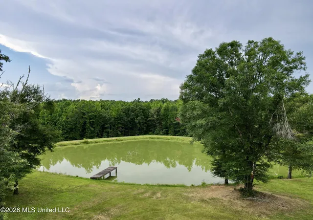 Homes for sale in Lexington, MS | 568 Smith Bailey Rd, Lexington, MS 39095 | MLS# 4154935